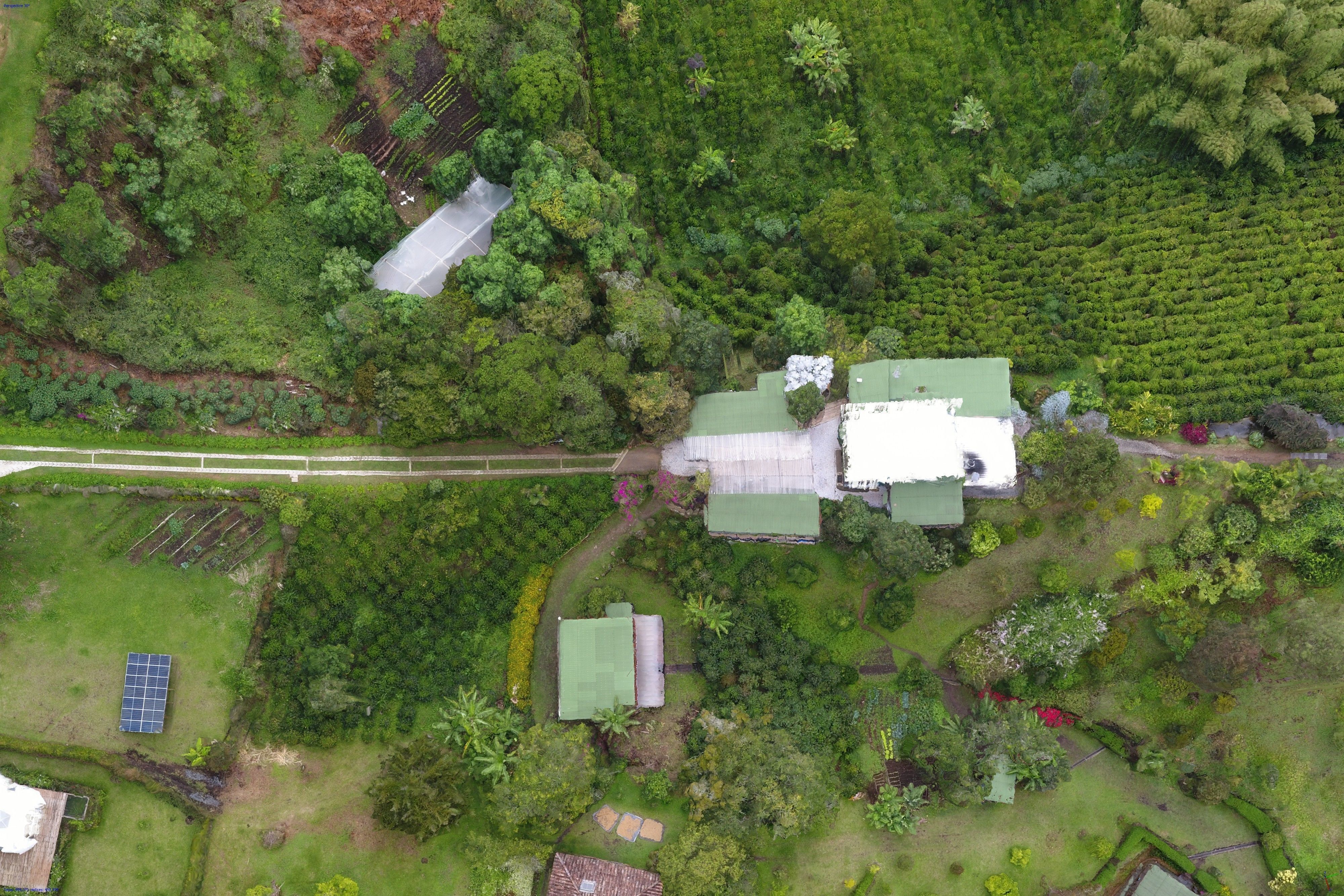 Reserva Natural Salto Del Buey Low-poly 3D model_3