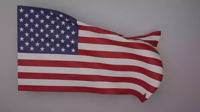 Waving Flag 3D Model 3D model