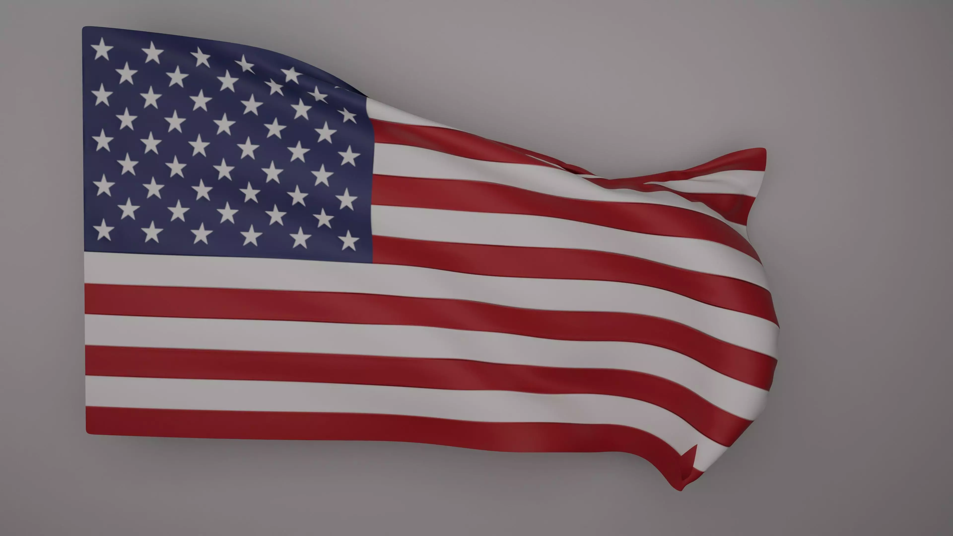 Waving Flag 3D Model 3D model