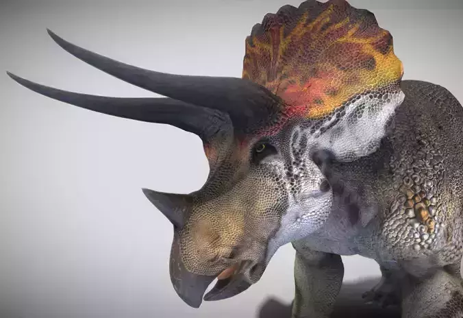 Triceratops horr Low-poly 3D model