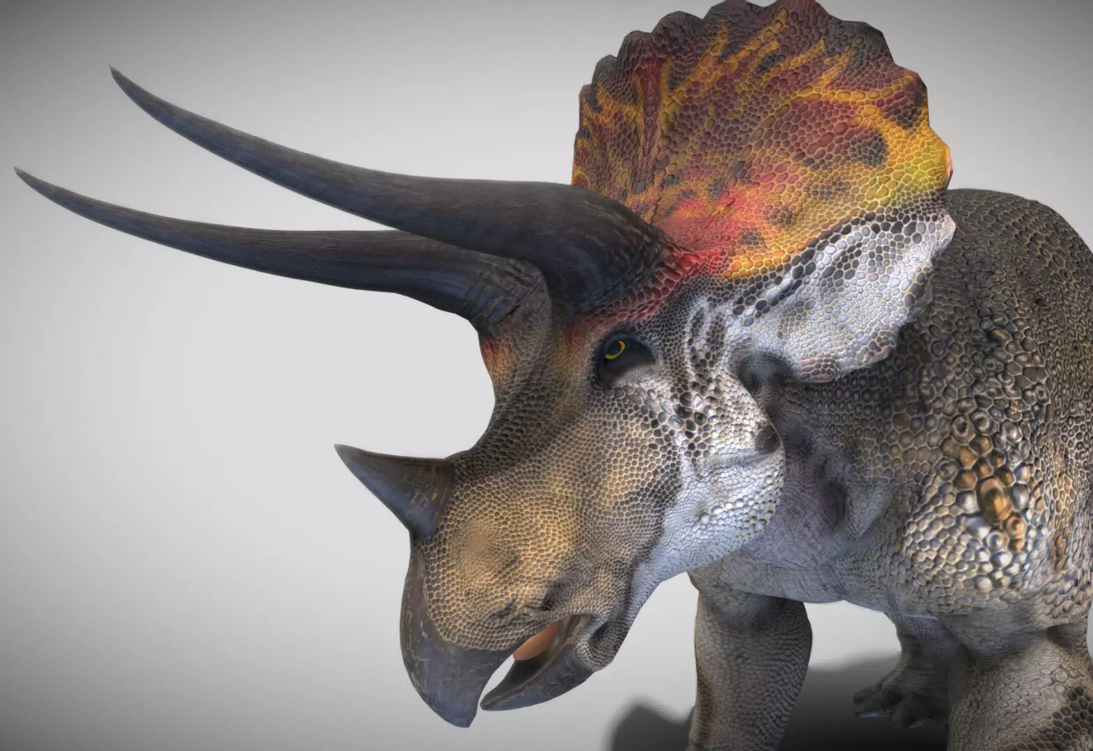 Triceratops horr Low-poly 3D model