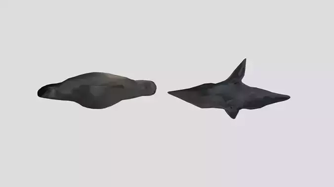 Trapa Natans Low Poly  Low-poly 3D model