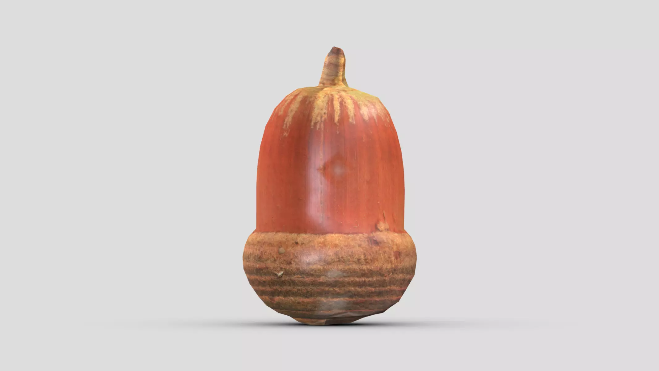 Tree Acorn Low Poly Low-poly 3D model_0