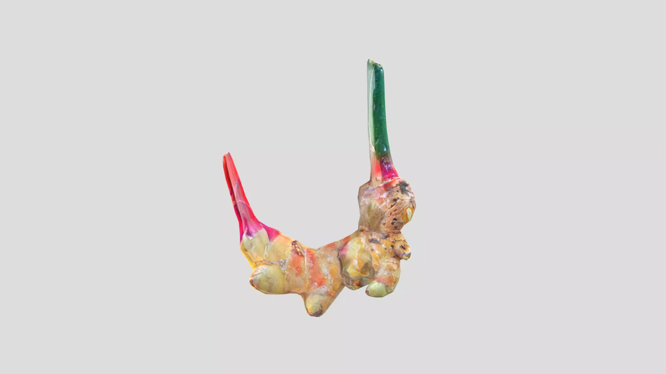 Turmeric Low Poly Low-poly 3D model_0