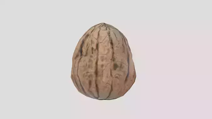 Walnut Low Poly Low-poly 3D model