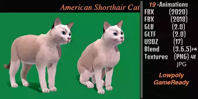 American Shorthair Cat Low-poly 3D model