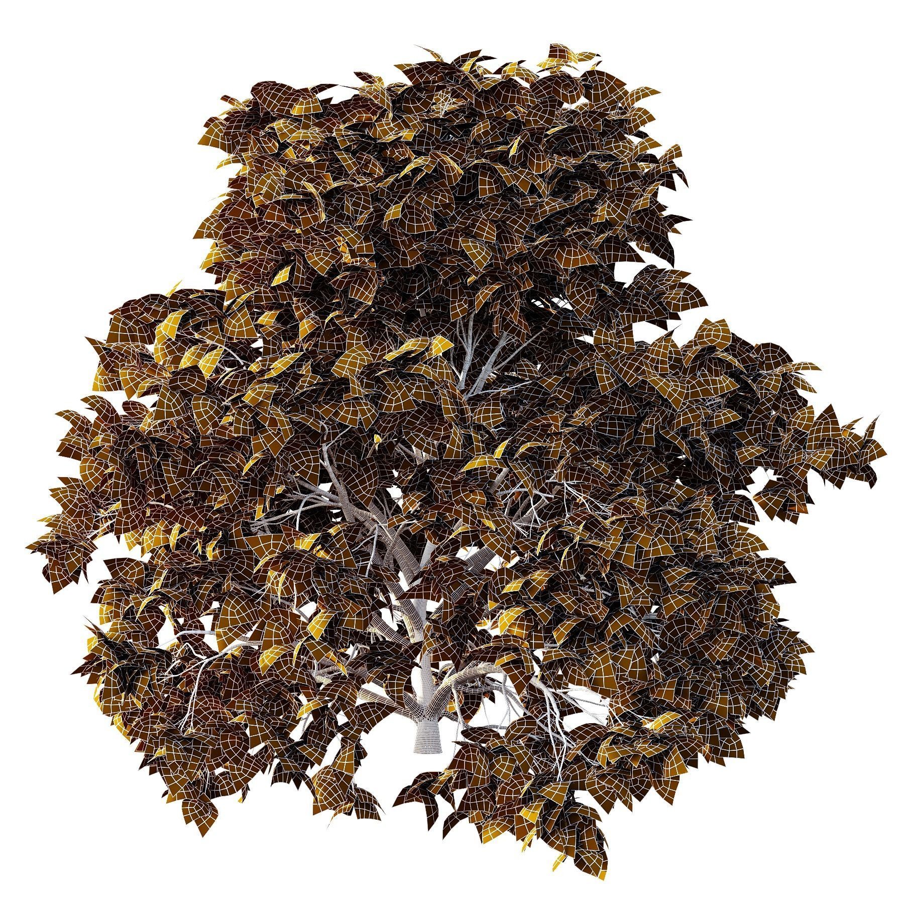 Cypress Bush 05 Free 3D model_6