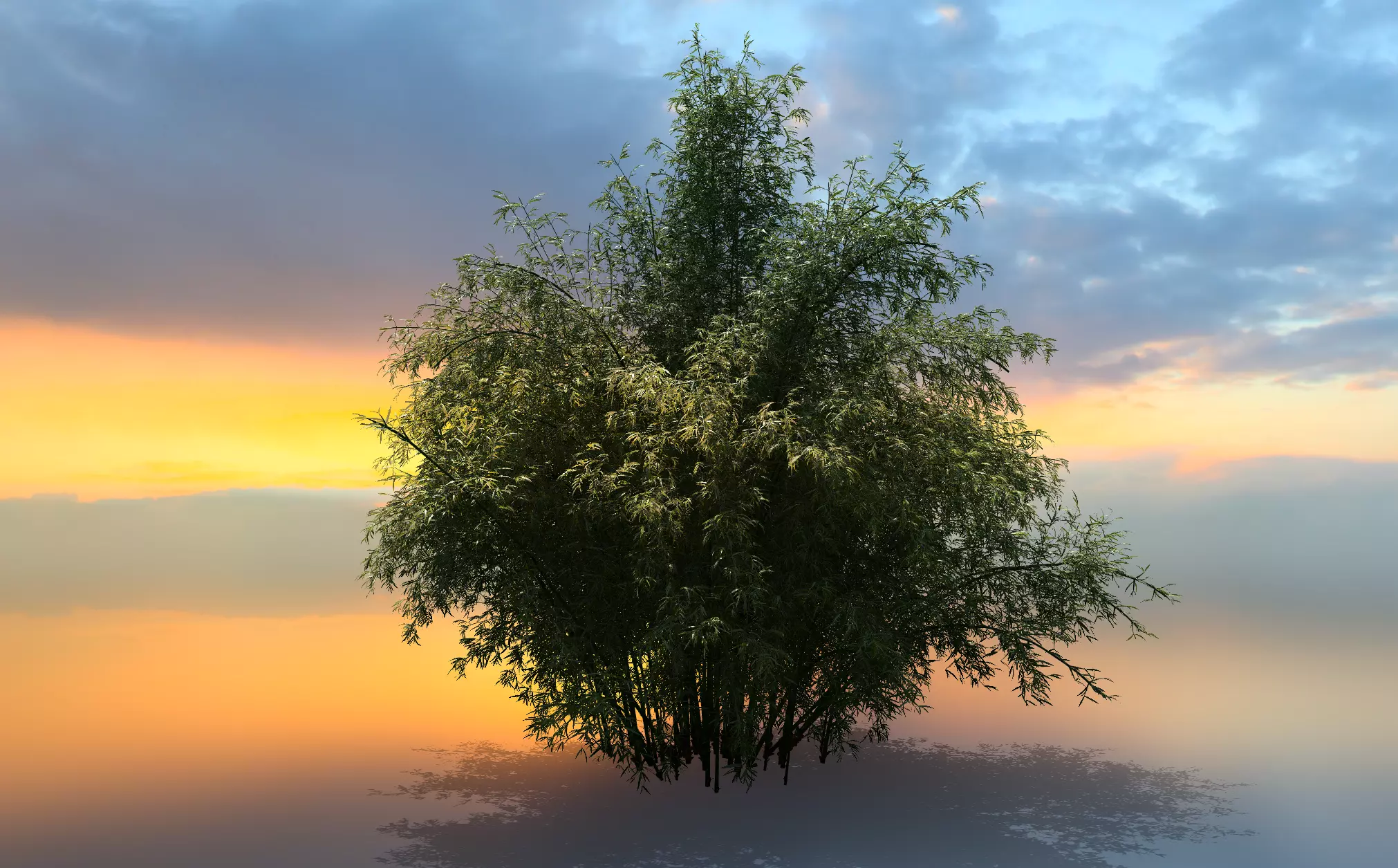  High Quality Bamboo Bush 01 3D model_0