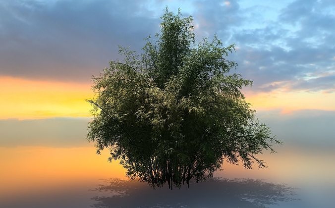  High Quality Bamboo Bush 01 3D model