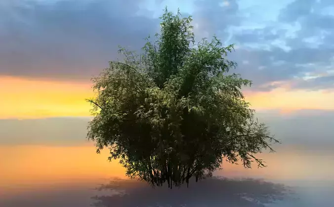  High Quality Bamboo Bush 01 3D model
