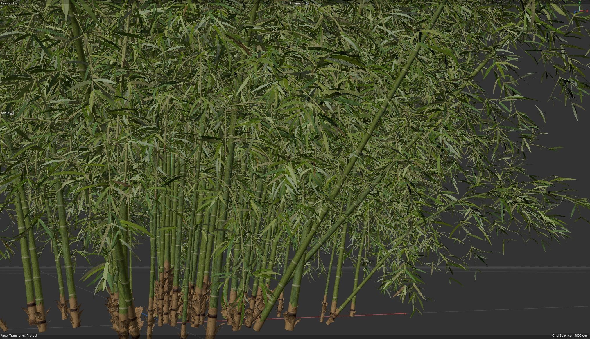  High Quality Bamboo Bush 01 3D model_7