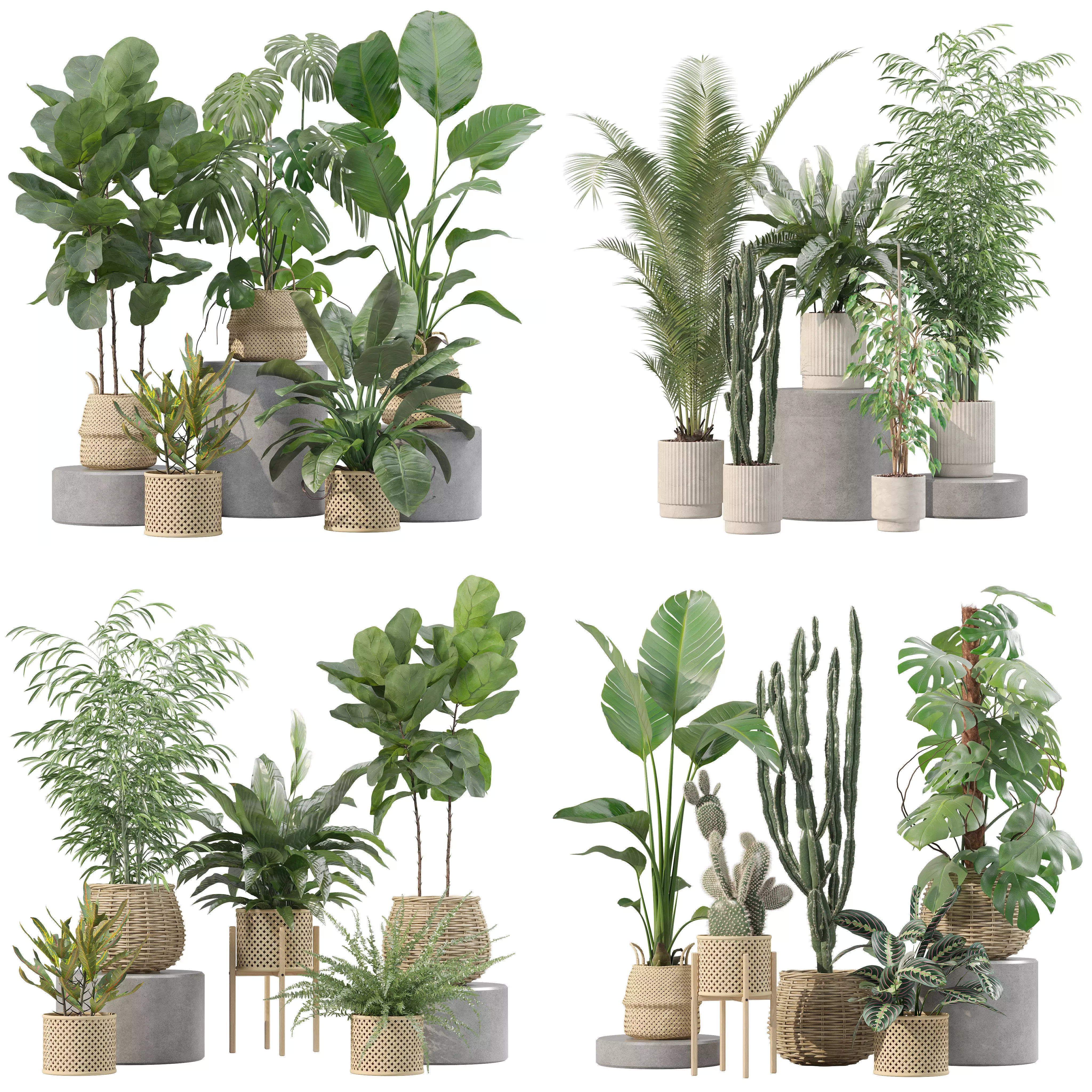 20 Photorealistic Flowers for Interiors - set 205 209 211 214 3D Model Collection_0