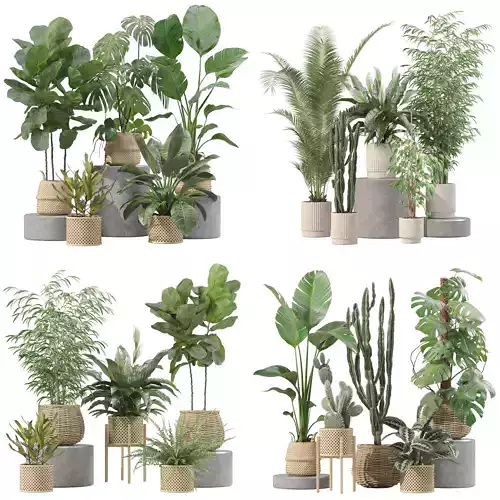 20 Photorealistic Flowers for Interiors - set 205 209 211 214 3D Model Collection