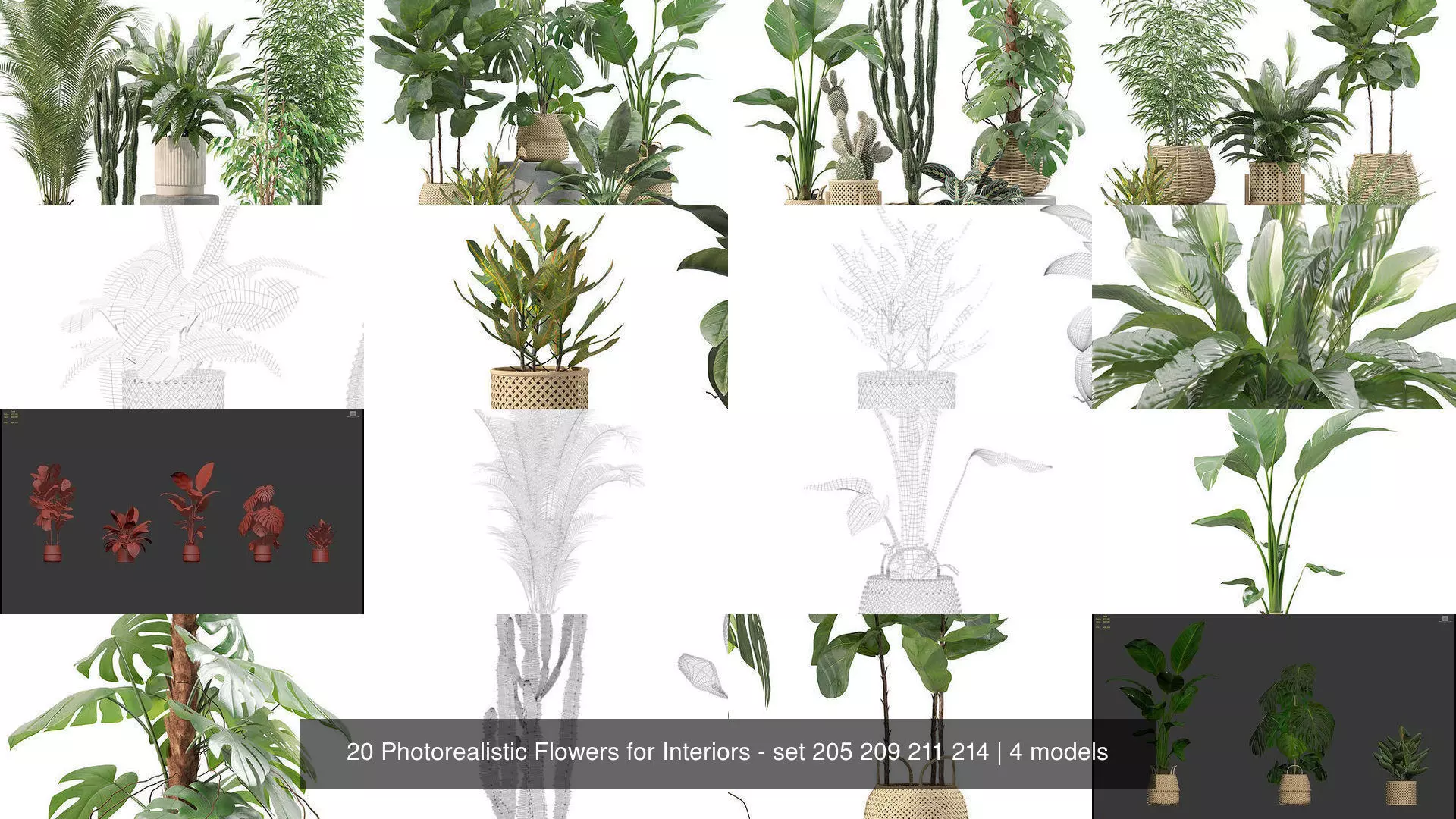 20 Photorealistic Flowers for Interiors - set 205 209 211 214 3D Model Collection_1