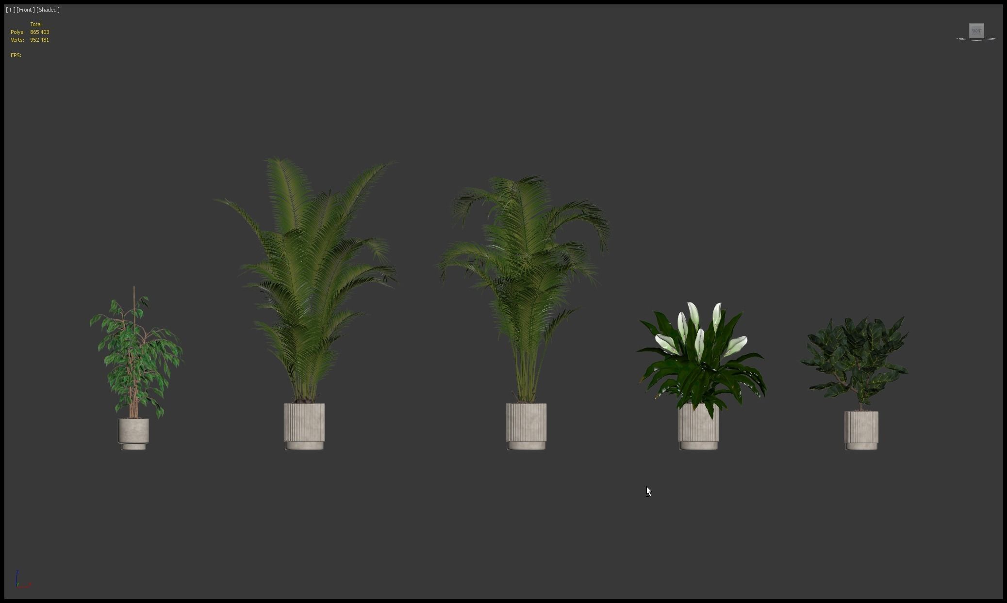 20 Photorealistic Flowers for Interiors - set 205 209 213 218 3D Model Collection_9