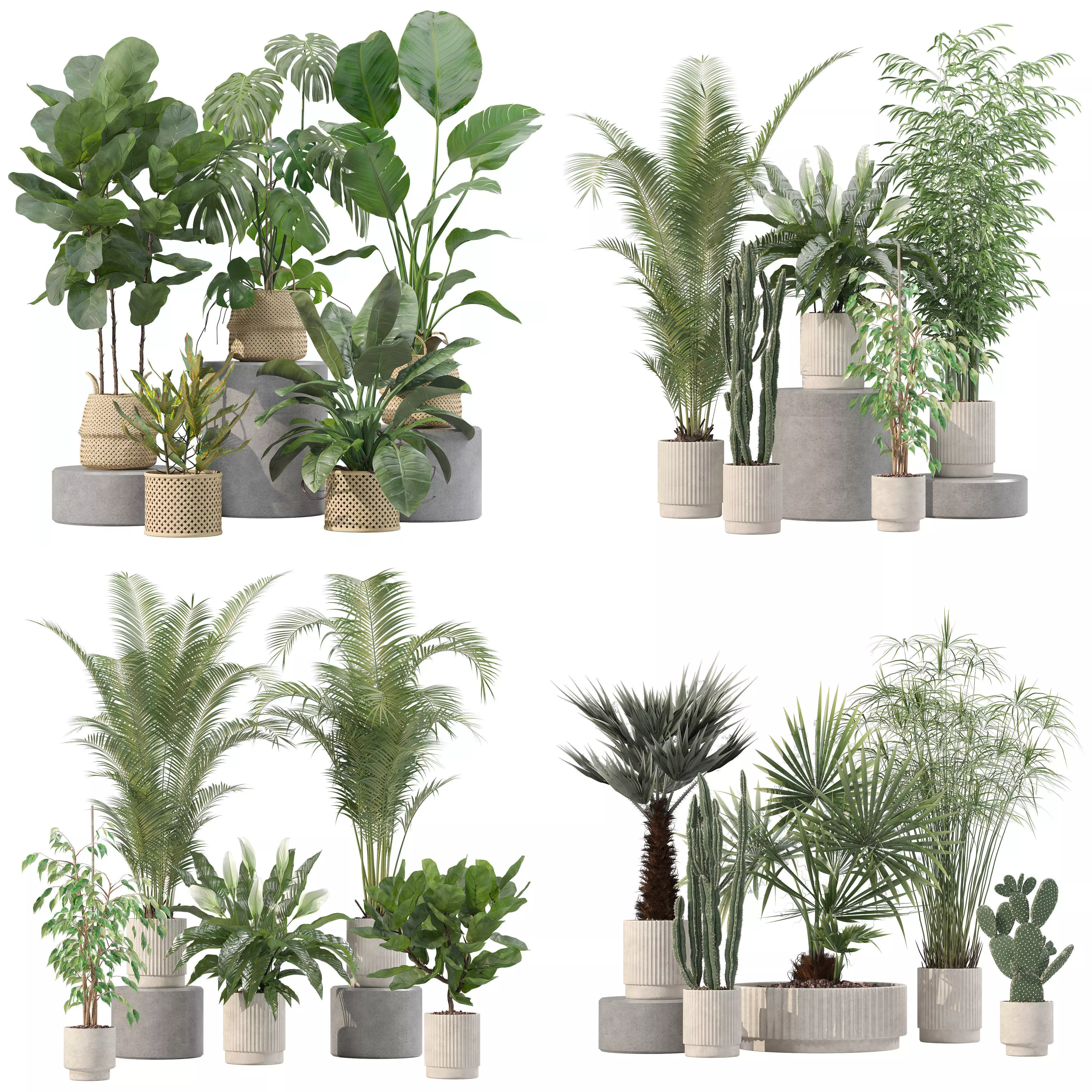 20 Photorealistic Flowers for Interiors - set 205 209 213 218 3D Model Collection_0