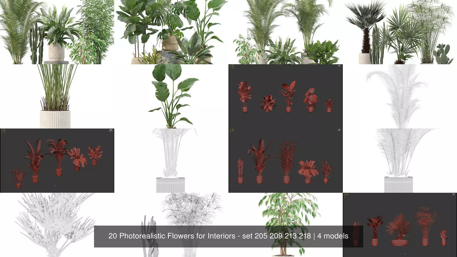 20 Photorealistic Flowers for Interiors - set 205 209 213 218 3D Model Collection_1