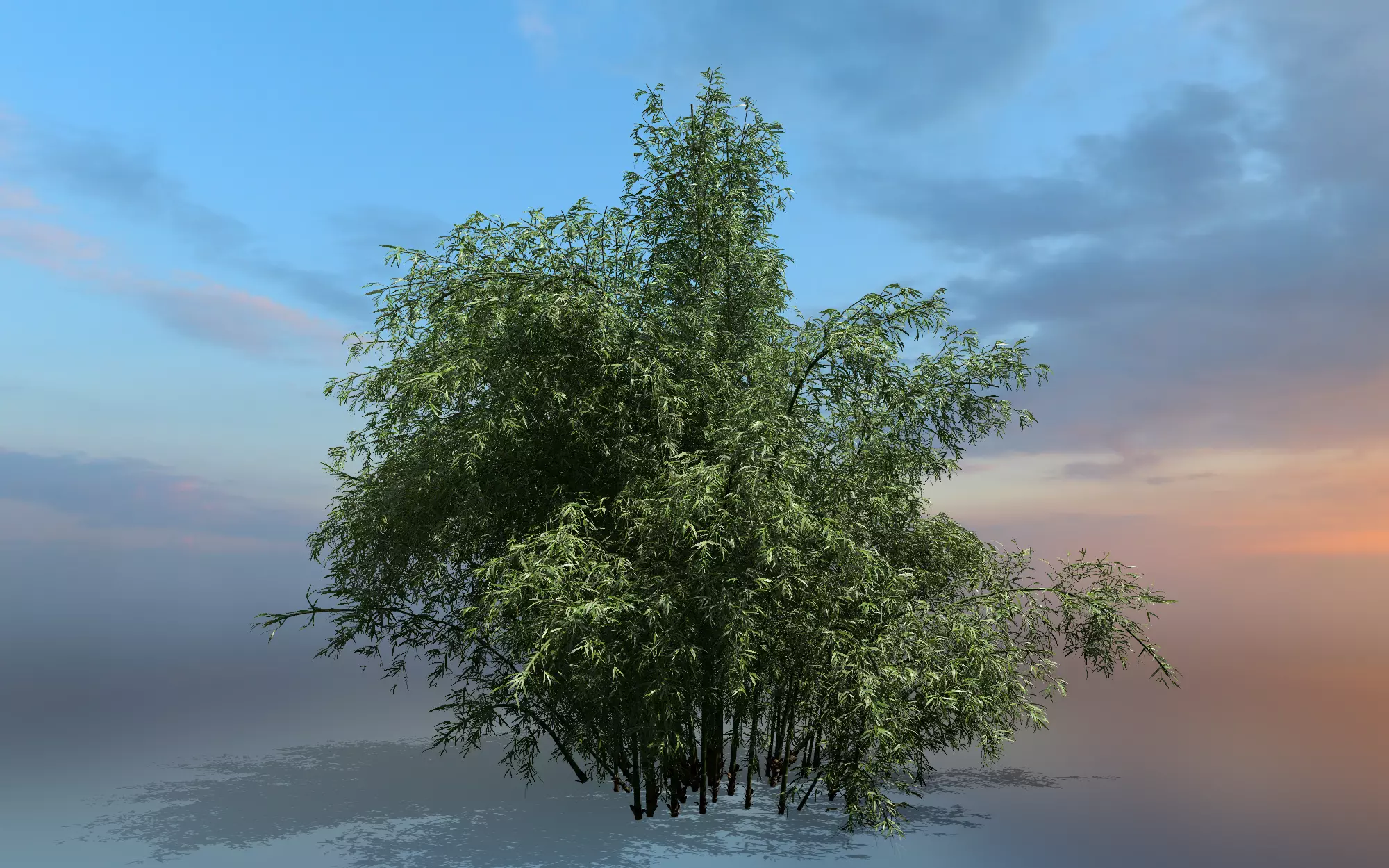 High Quality Bamboo Bush 02 3D model_0