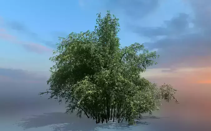 High Quality Bamboo Bush 02 3D model