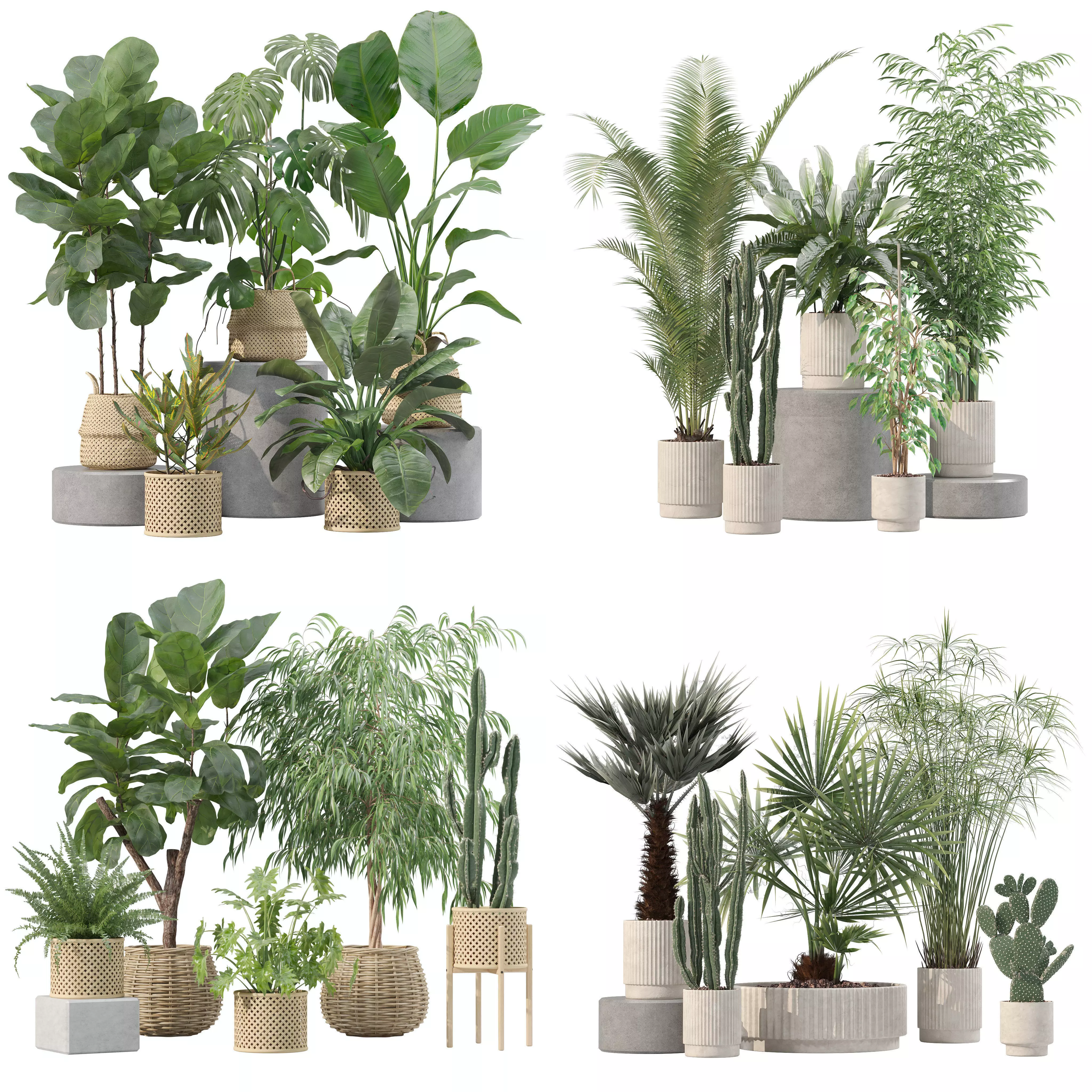 20 Photorealistic Flowers for Interiors - set 205 209 218 219 3D Model Collection_0