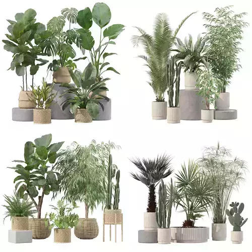 20 Photorealistic Flowers for Interiors - set 205 209 218 219 3D Model Collection