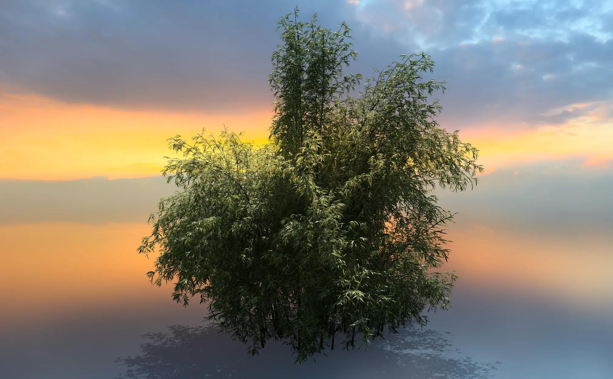 High Quality Bamboo Bush 03 3D model_0