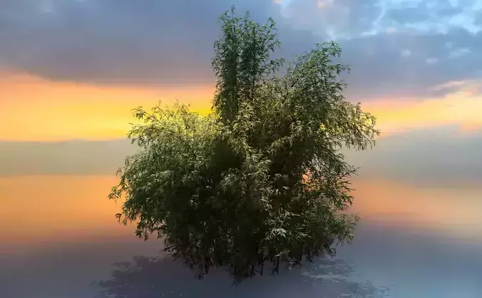 High Quality Bamboo Bush 03 3D model