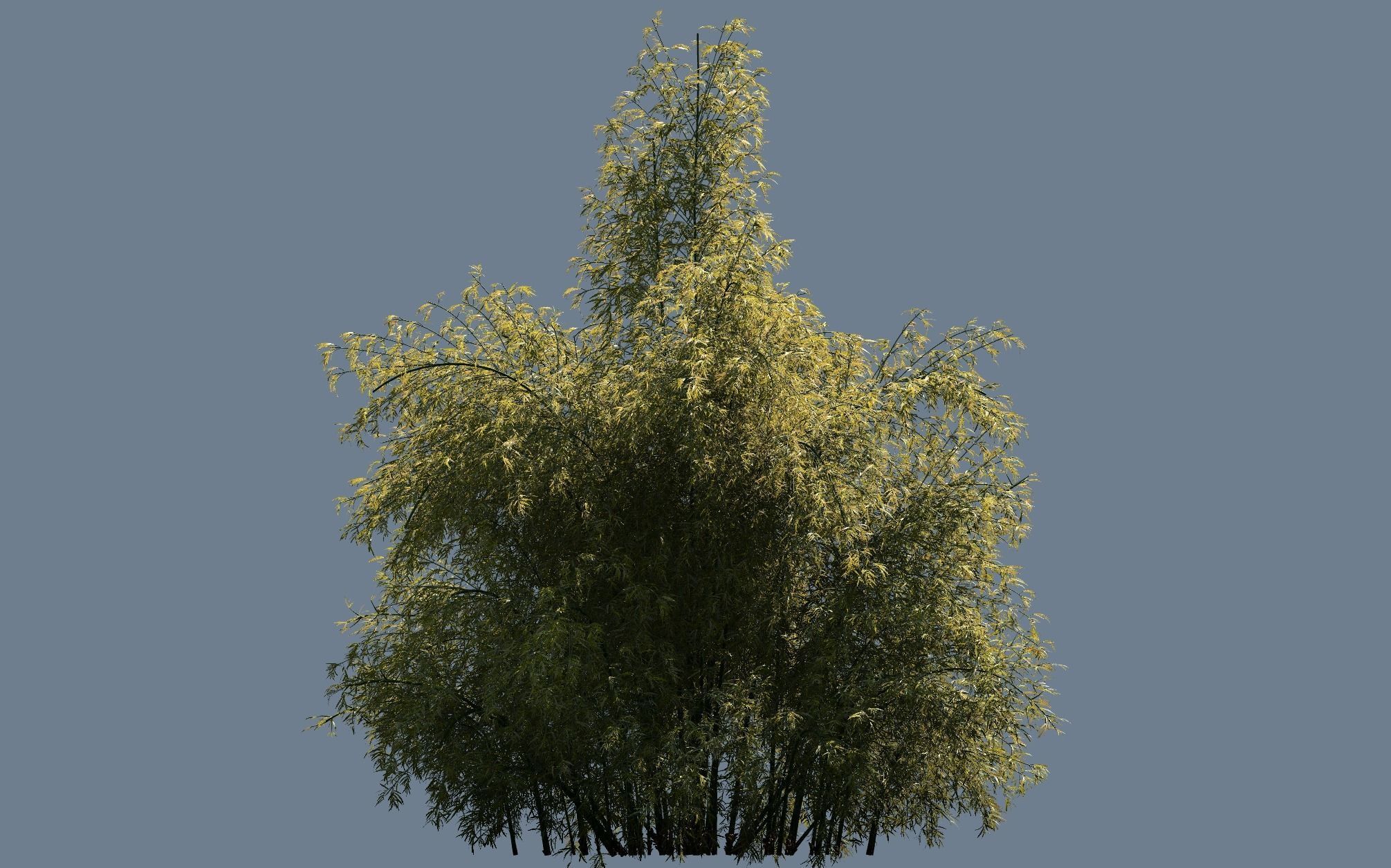 High Quality Bamboo Bush 04 3D model_2