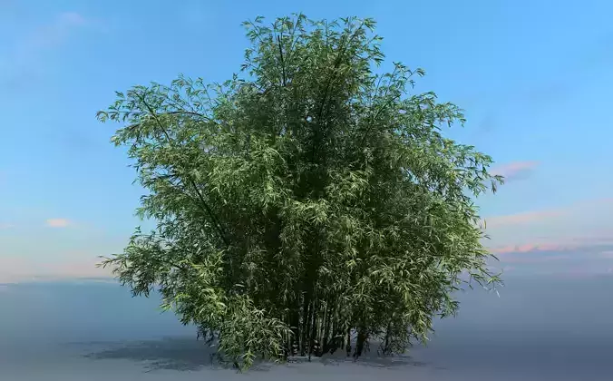 High Quality Bamboo Bush 05 3D model
