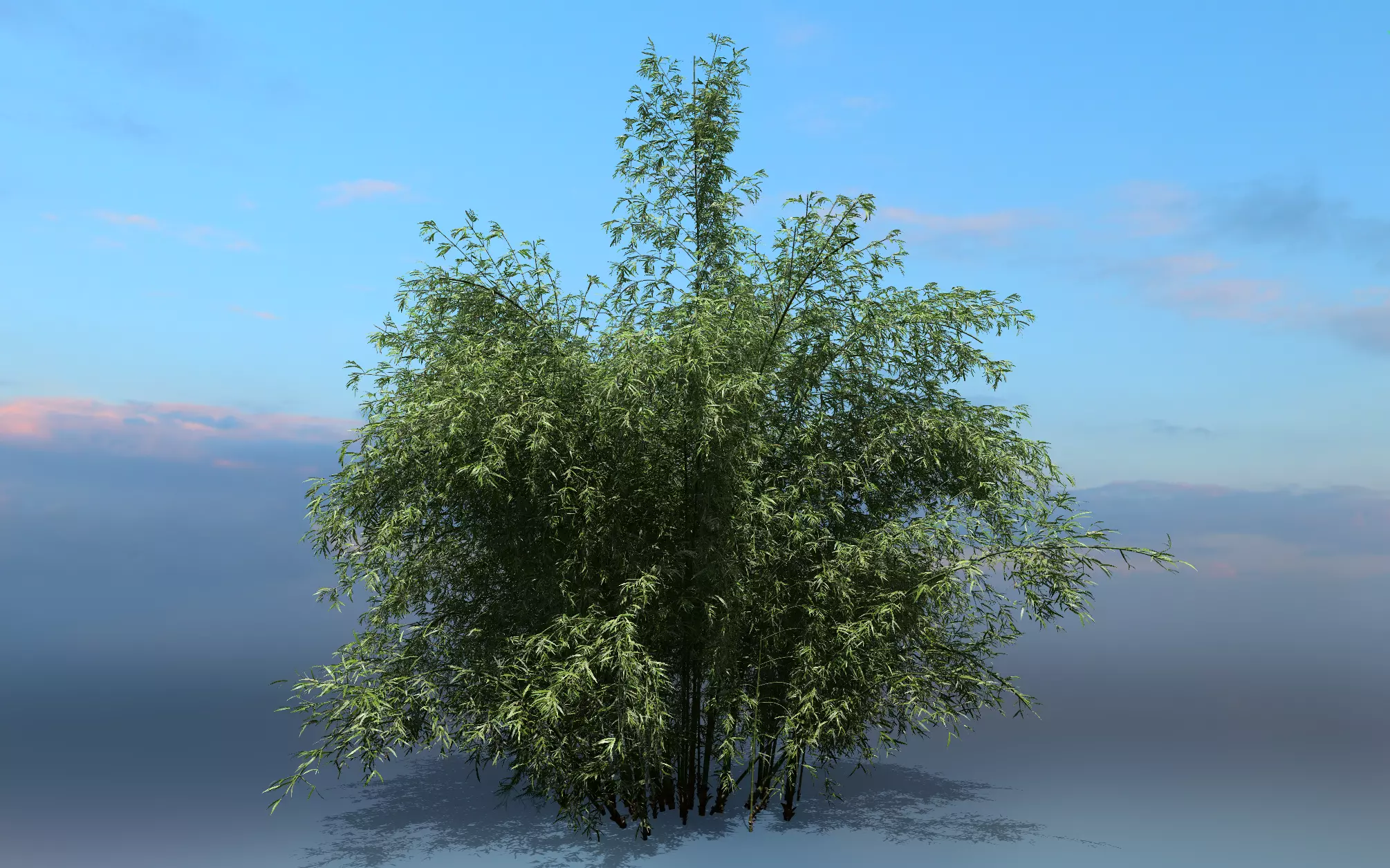 High Quality Bamboo Bush 06 3D model_0