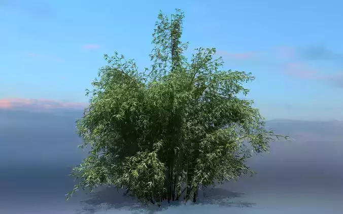 High Quality Bamboo Bush 06 3D model