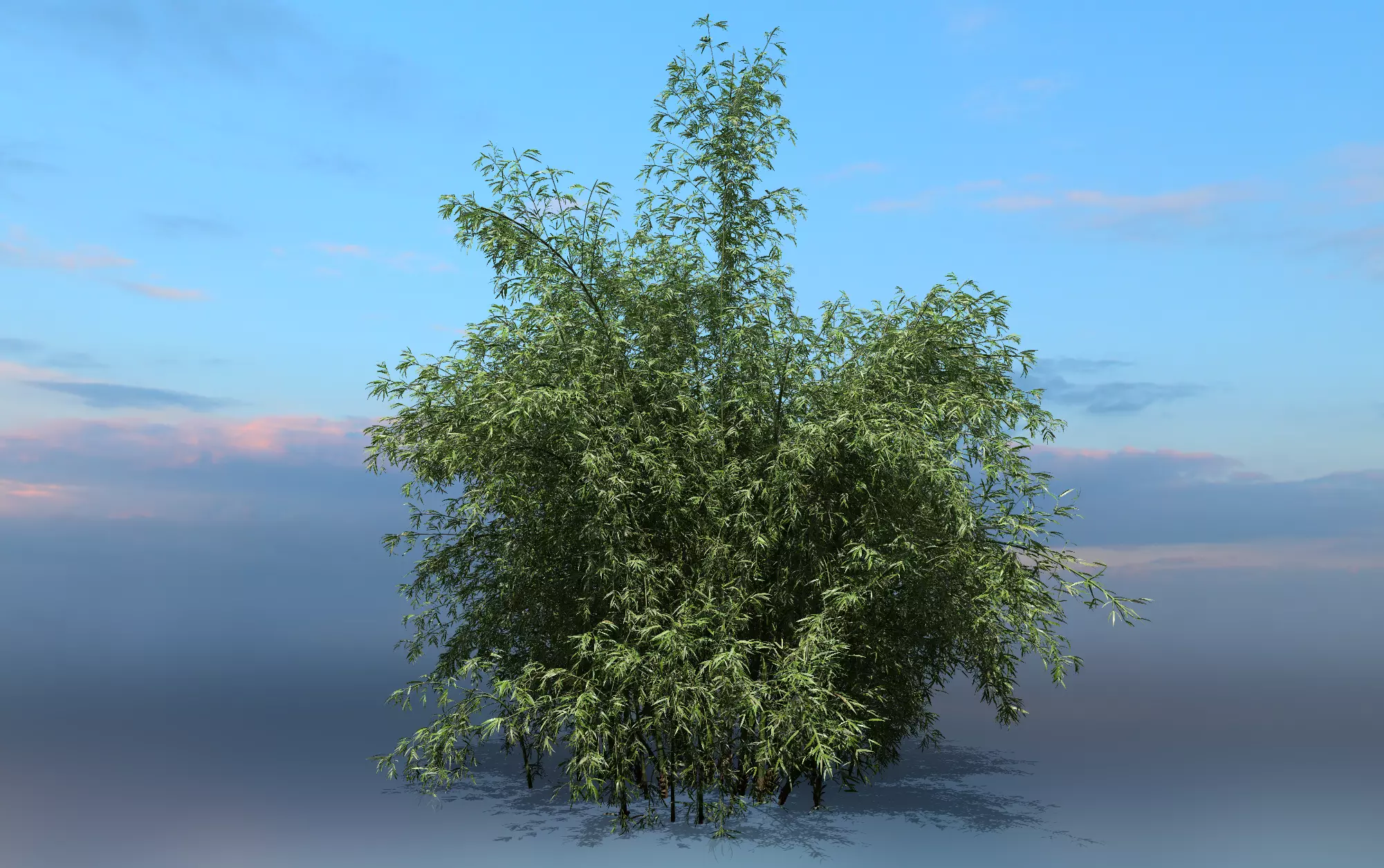 High Quality Bamboo Bush 07 3D model_0