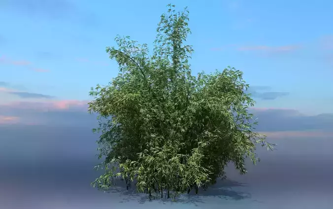 High Quality Bamboo Bush 07 3D model