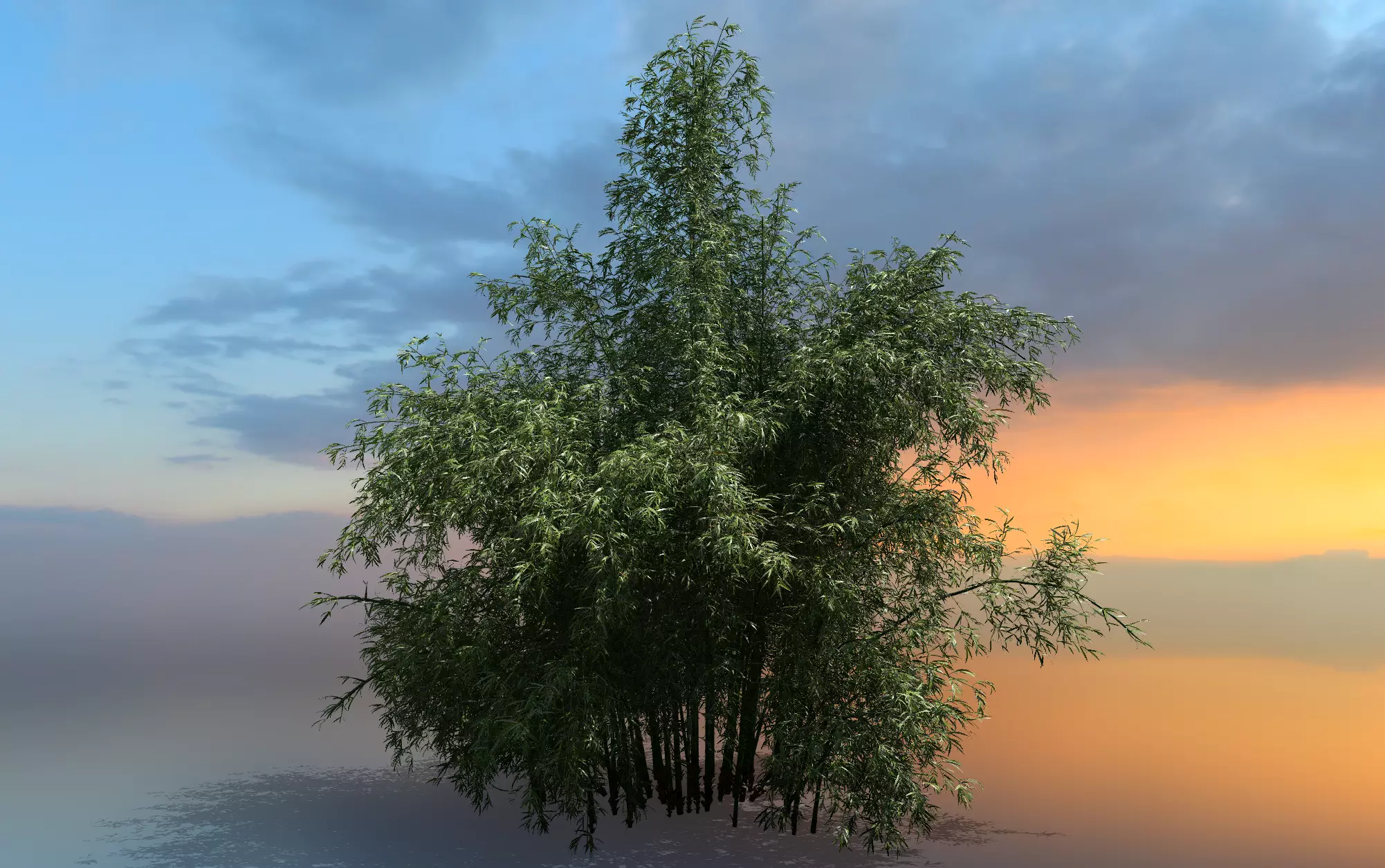 High Quality Bamboo Bush 08 3D model_0