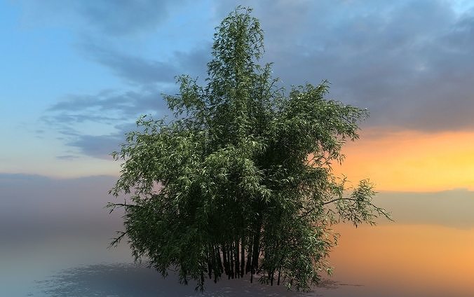 High Quality Bamboo Bush 08 3D model
