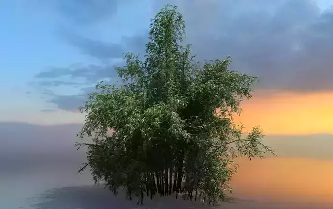 High Quality Bamboo Bush 08 3D model