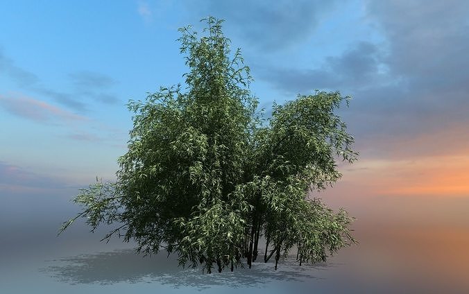 High Quality Bamboo Bush 09 3D model