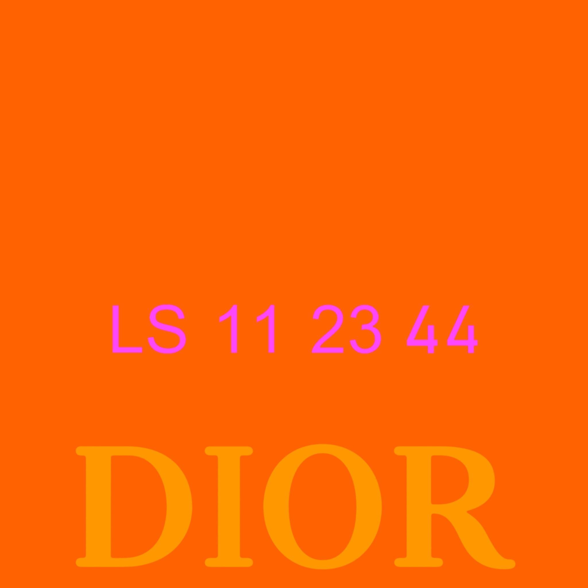 DIOR B9S SKATER 3D SHOES 3D model_16