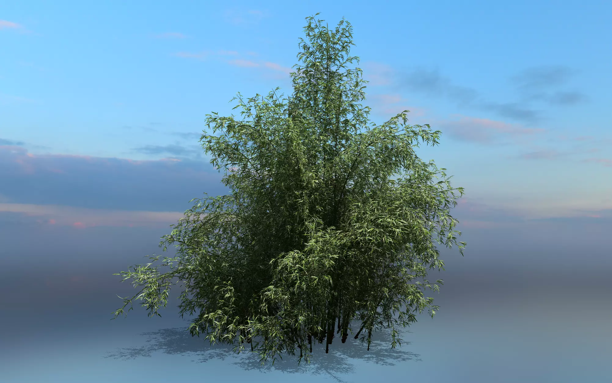 High Quality Bamboo Bush 10 3D model_0