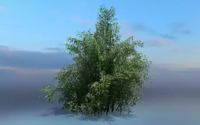 High Quality Bamboo Bush 10 3D model