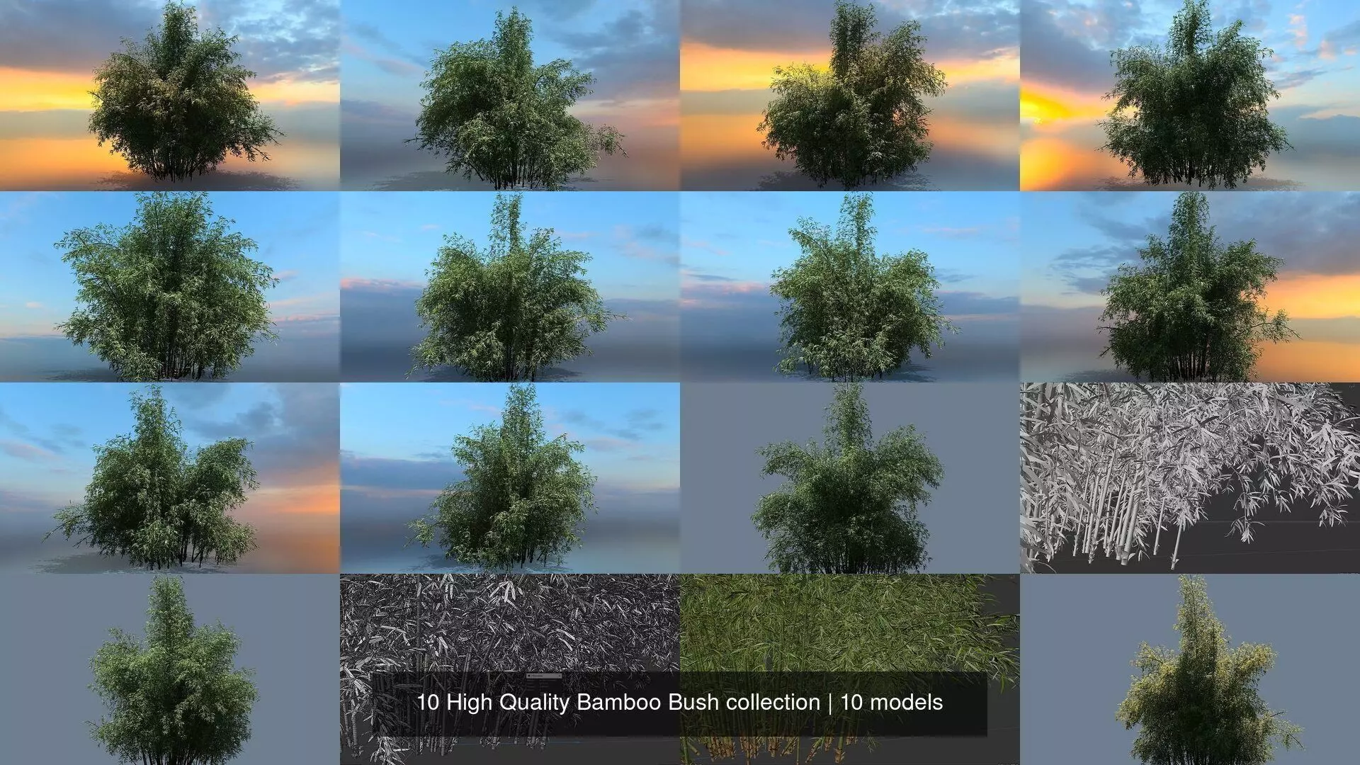 10 High Quality Bamboo Bush collection _1