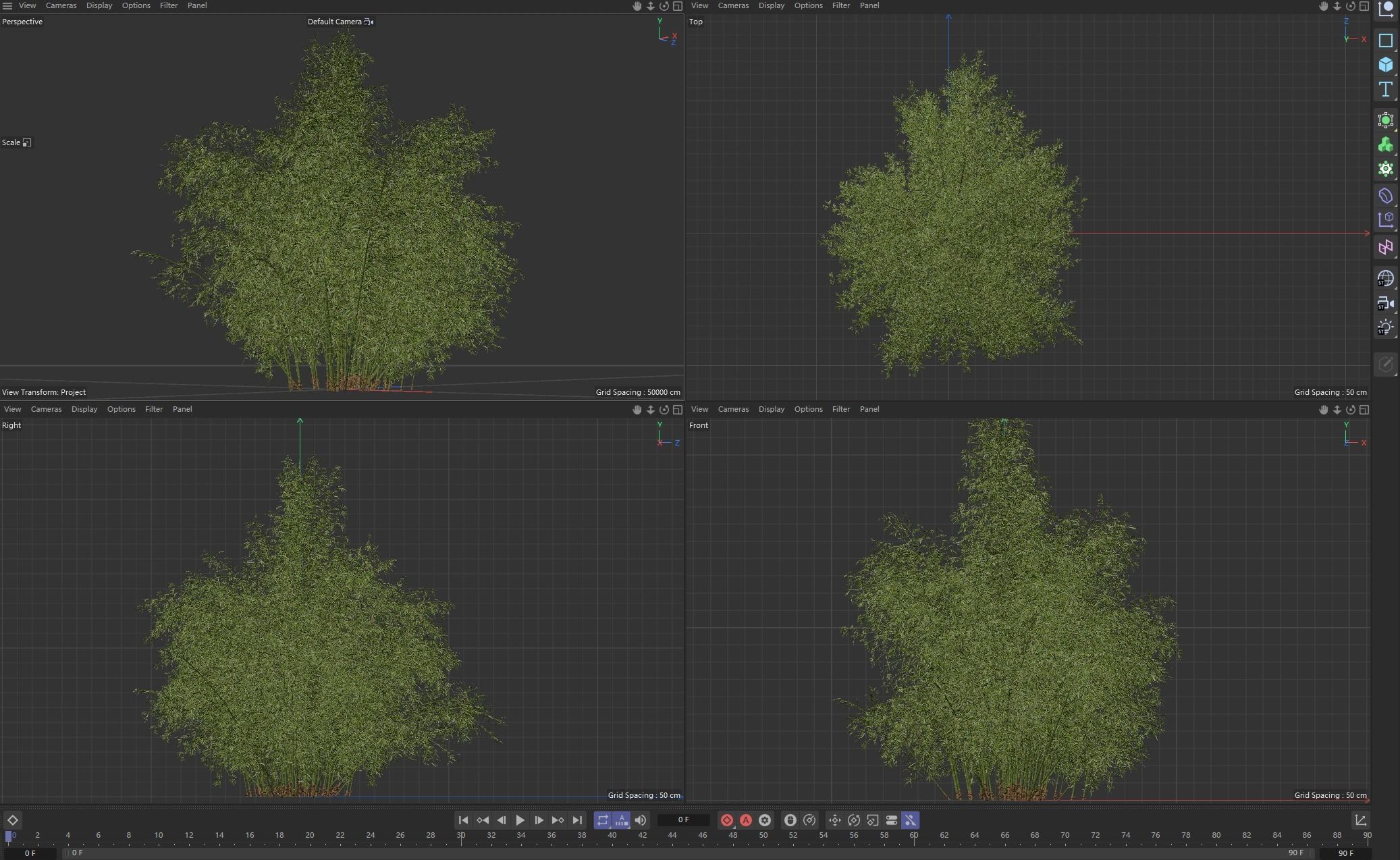 10 High Quality Bamboo Bush collection _13