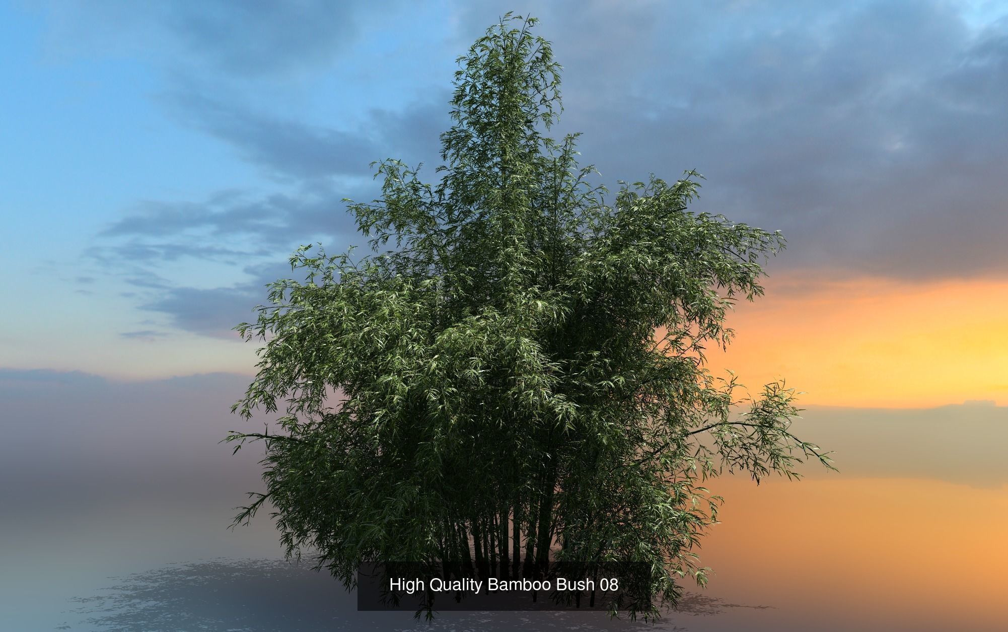 10 High Quality Bamboo Bush collection _9