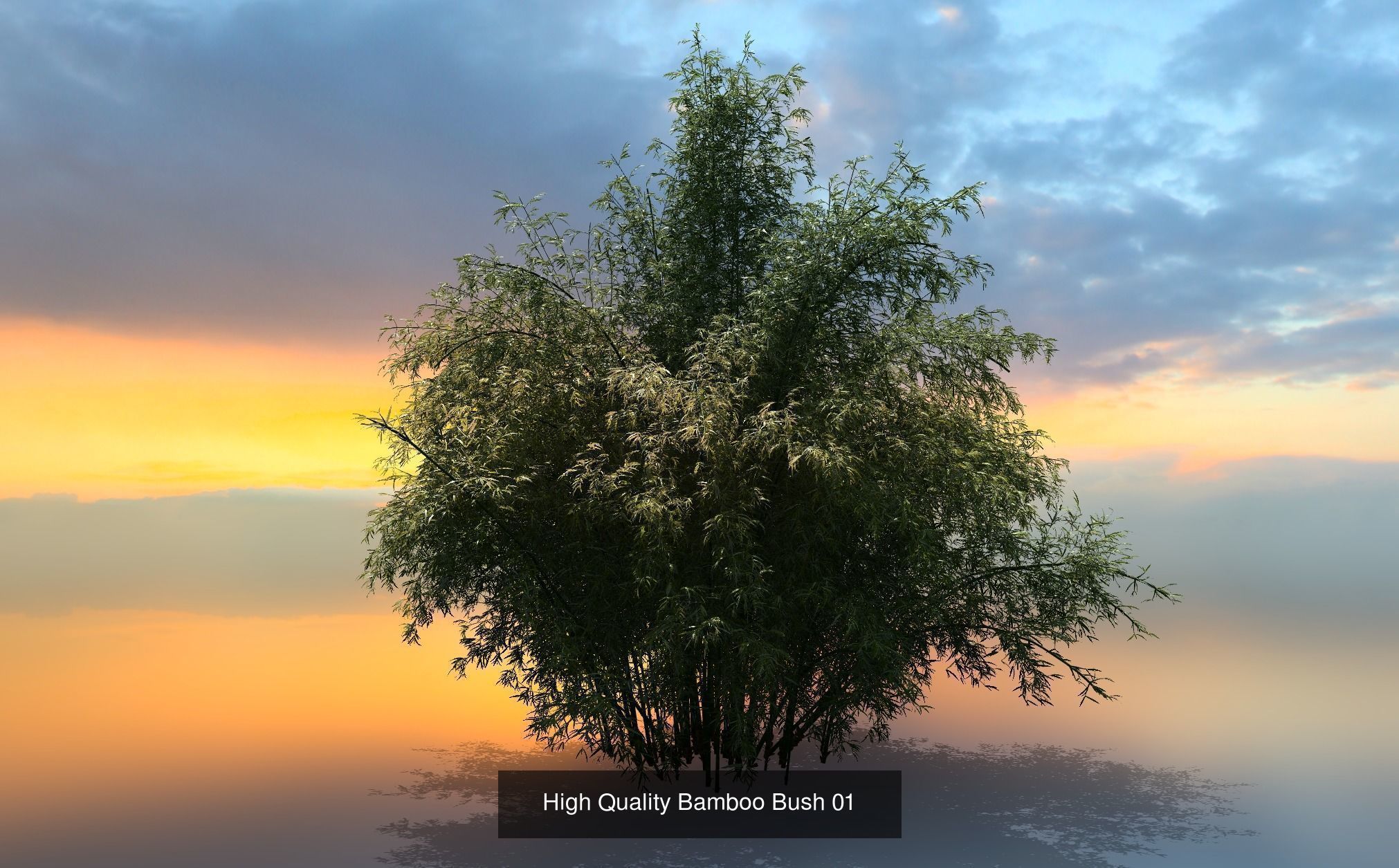 10 High Quality Bamboo Bush collection _2