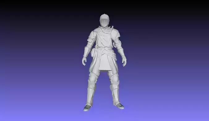 Printle M Homme 2995 P