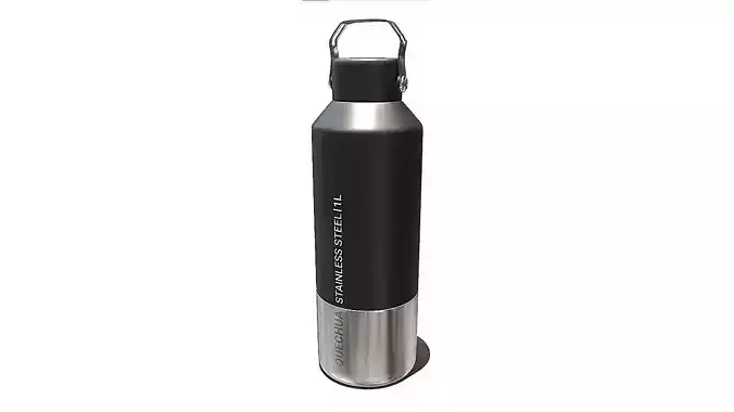 Stainless Steel Water Bottle