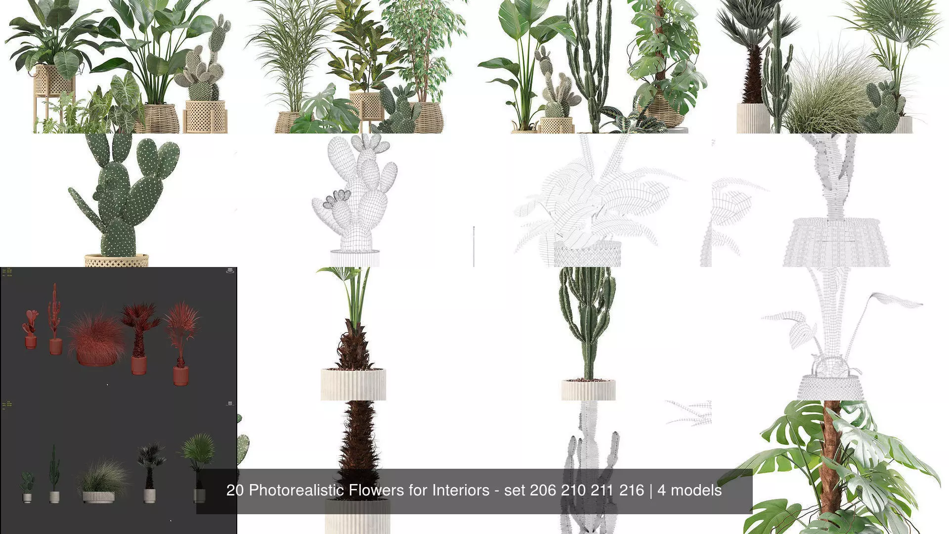20 Photorealistic Flowers for Interiors - set 206 210 211 216 3D Model Collection_1