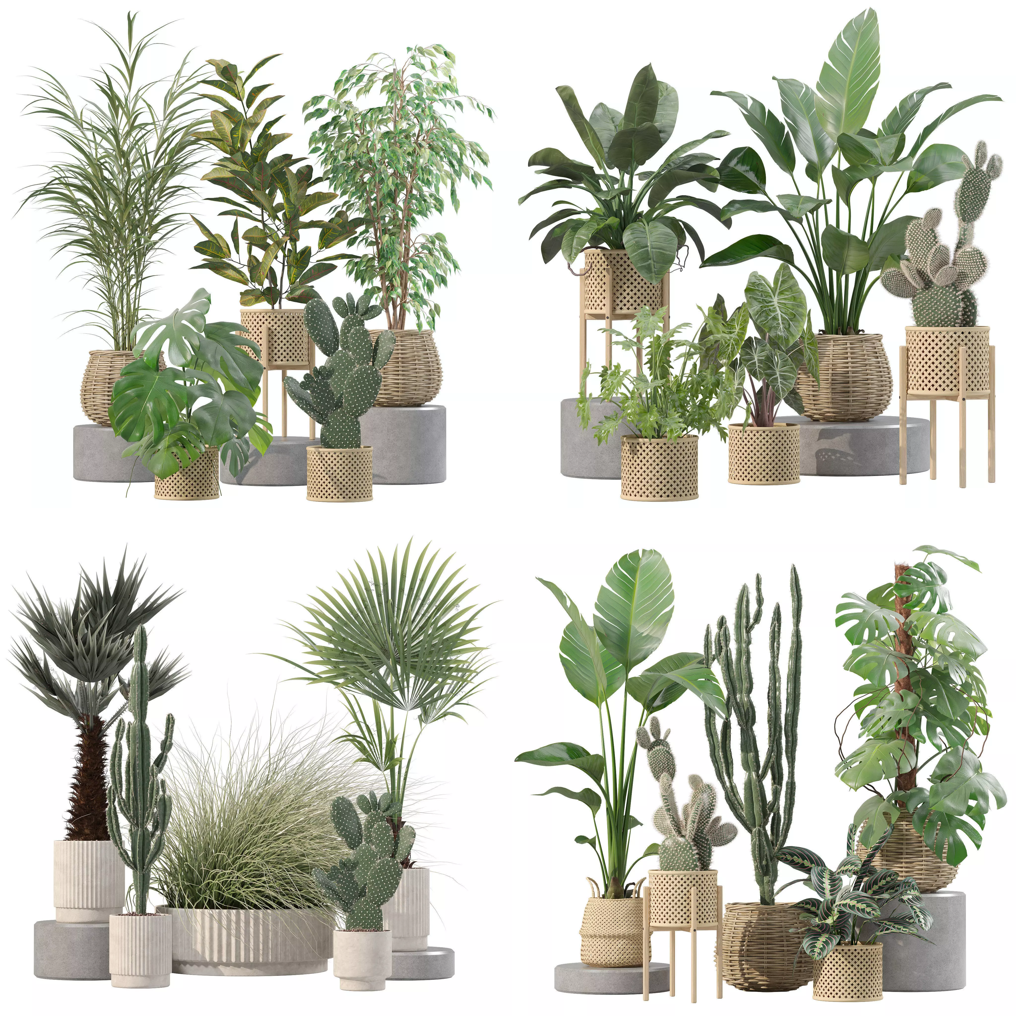 20 Photorealistic Flowers for Interiors - set 206 210 211 216 3D Model Collection_0