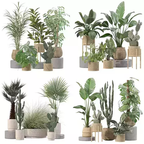20 Photorealistic Flowers for Interiors - set 206 210 211 216 3D Model Collection