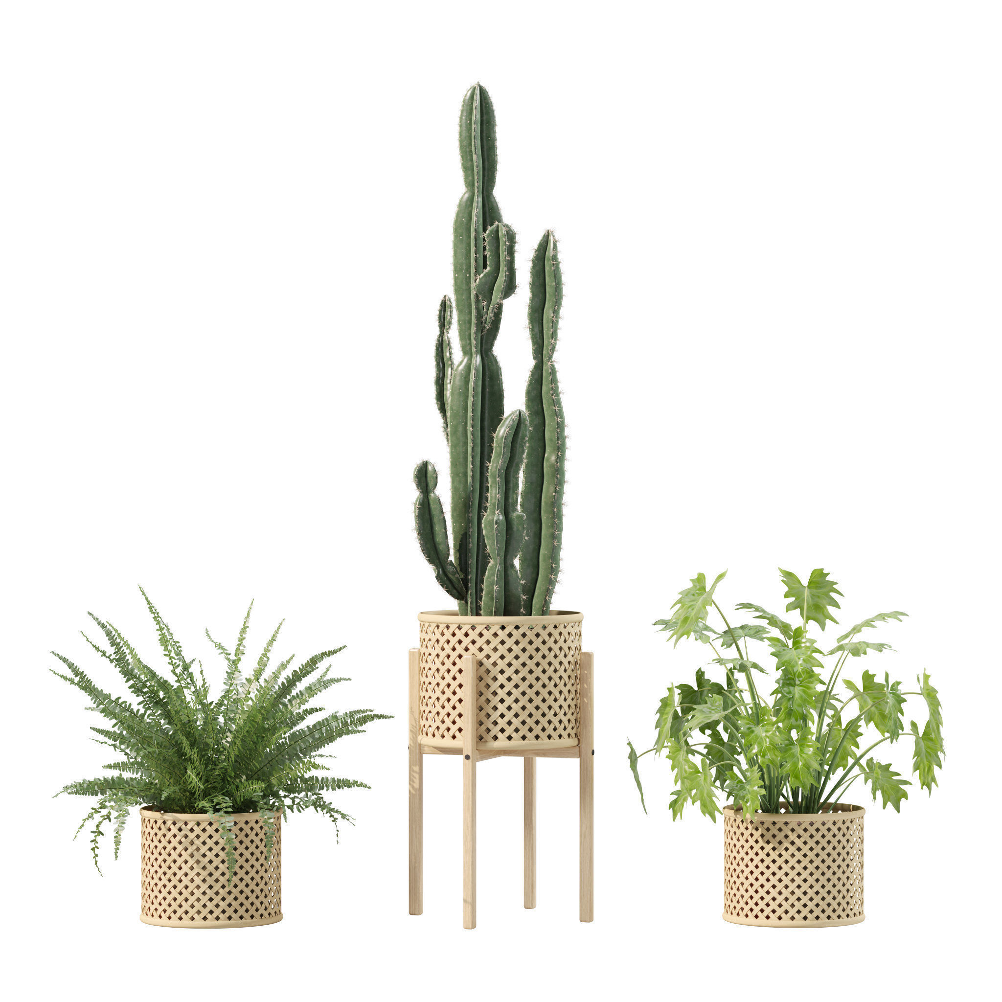 20 Photorealistic Flowers for Interiors - set 206 210 212 219 3D Model Collection_23